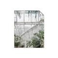 Picture of Green house IV _GroupedProduct_Rectangle_Portrait_Photography _GroupedProduct_Rectangle_Portrait_Unframed_Print_Only_