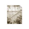 Picture of Green house IV _GroupedProduct_Rectangle_Portrait_Photography _GroupedProduct_Rectangle_Portrait_Unframed_Print_Only_