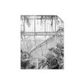 Picture of Green house IV _GroupedProduct_Rectangle_Portrait_Photography _GroupedProduct_Rectangle_Portrait_Unframed_Print_Only_