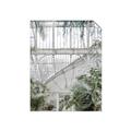 Picture of Green house IV _GroupedProduct_Rectangle_Portrait_Photography _GroupedProduct_Rectangle_Portrait_Unframed_Print_Only_