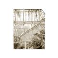 Picture of Green house IV _GroupedProduct_Rectangle_Portrait_Photography _GroupedProduct_Rectangle_Portrait_Unframed_Print_Only_