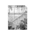 Picture of Green house IV _GroupedProduct_Rectangle_Portrait_Photography _GroupedProduct_Rectangle_Portrait_Unframed_Print_Only_