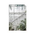 Picture of Green house IV _GroupedProduct_Rectangle_Portrait_Photography _GroupedProduct_Rectangle_Portrait_Unframed_Print_Only_