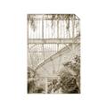 Picture of Green house IV _GroupedProduct_Rectangle_Portrait_Photography _GroupedProduct_Rectangle_Portrait_Unframed_Print_Only_