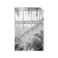 Picture of Green house IV _GroupedProduct_Rectangle_Portrait_Photography _GroupedProduct_Rectangle_Portrait_Unframed_Print_Only_