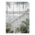 Picture of Green house IV _GroupedProduct_Rectangle_Portrait_Photography _GroupedProduct_Rectangle_Portrait_Unframed_Print_Only_