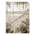 Picture of Green house IV _GroupedProduct_Rectangle_Portrait_Photography _GroupedProduct_Rectangle_Portrait_Unframed_Print_Only_