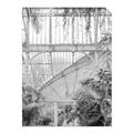 Picture of Green house IV _GroupedProduct_Rectangle_Portrait_Photography _GroupedProduct_Rectangle_Portrait_Unframed_Print_Only_