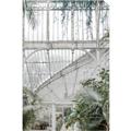Picture of Green house IV _GroupedProduct_Rectangle_Portrait_Photography _GroupedProduct_Rectangle_Portrait_Unframed_Print_Only_