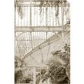 Picture of Green house IV _GroupedProduct_Rectangle_Portrait_Photography _GroupedProduct_Rectangle_Portrait_Unframed_Print_Only_