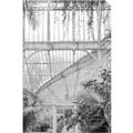 Picture of Green house IV _GroupedProduct_Rectangle_Portrait_Photography _GroupedProduct_Rectangle_Portrait_Unframed_Print_Only_