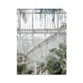 Picture of Green house IV _GroupedProduct_Rectangle_Portrait_Photography _GroupedProduct_Rectangle_Portrait_Unframed_Print_Only_