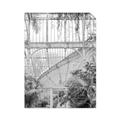 Picture of Green house IV _GroupedProduct_Rectangle_Portrait_Photography _GroupedProduct_Rectangle_Portrait_Unframed_Print_Only_