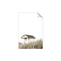 Picture of Lake House Neutral  _GroupedProduct_Rectangle_Portrait_Photography _GroupedProduct_Rectangle_Portrait_Unframed_Print_Only_