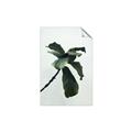 Picture of Green Sprout white _GroupedProduct_Rectangle_Portrait_Photography _GroupedProduct_Rectangle_Portrait_Unframed_Print_Only_