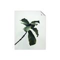 Picture of Green Sprout white _GroupedProduct_Rectangle_Portrait_Photography _GroupedProduct_Rectangle_Portrait_Unframed_Print_Only_