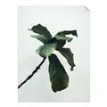 Picture of Green Sprout white _GroupedProduct_Rectangle_Portrait_Photography _GroupedProduct_Rectangle_Portrait_Unframed_Print_Only_