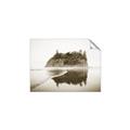 Picture of East Coast Shore _GroupedProduct_Rectangle_Landscape_Photography _GroupedProduct_Rectangle_Landscape_Unframed_Print_Only_