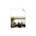 Picture of Beached Canoe _GroupedProduct_Rectangle_Portrait_Photography _GroupedProduct_Rectangle_Portrait_Unframed_Print_Only_