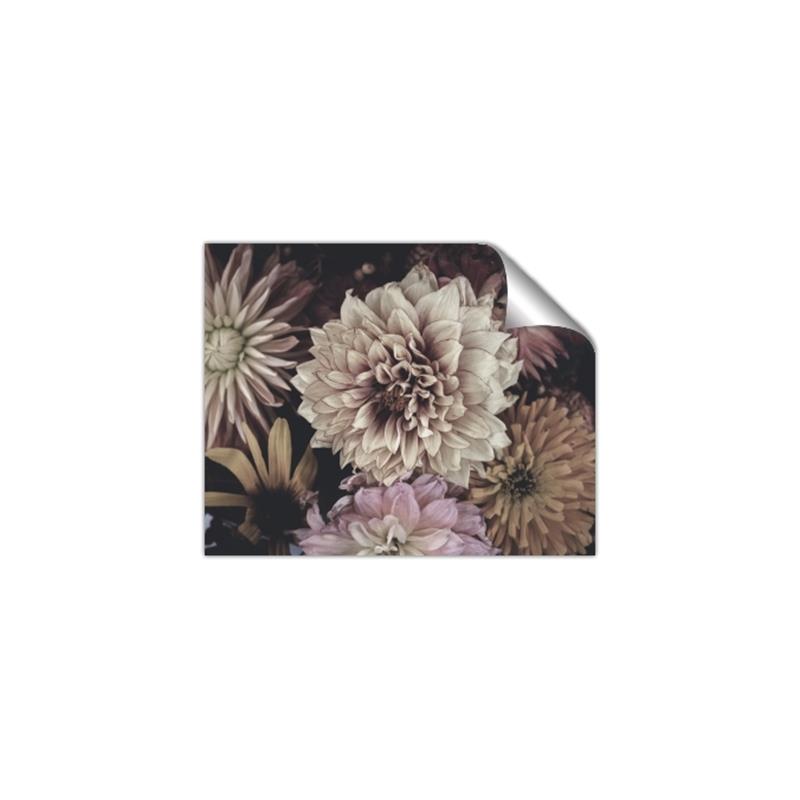 Picture of Autumn Bliss _GroupedProduct_Rectangle_Landscape_Photography _GroupedProduct_Rectangle_Landscape_Unframed_Print_Only_