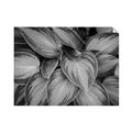 Picture of Chinese Evergreen  _GroupedProduct_Rectangle_Landscape_Photography _GroupedProduct_Rectangle_Landscape_Unframed_Print_Only_