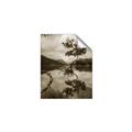Picture of Tree Reflection _GroupedProduct_Rectangle_Portrait_Photography _GroupedProduct_Rectangle_Portrait_Unframed_Print_Only_