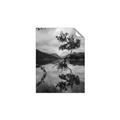 Picture of Tree Reflection _GroupedProduct_Rectangle_Portrait_Photography _GroupedProduct_Rectangle_Portrait_Unframed_Print_Only_