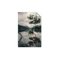 Picture of Tree Reflection _GroupedProduct_Rectangle_Portrait_Photography _GroupedProduct_Rectangle_Portrait_Unframed_Print_Only_