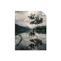 Picture of Tree Reflection _GroupedProduct_Rectangle_Portrait_Photography _GroupedProduct_Rectangle_Portrait_Unframed_Print_Only_
