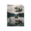 Picture of Tree Reflection _GroupedProduct_Rectangle_Portrait_Photography _GroupedProduct_Rectangle_Portrait_Unframed_Print_Only_