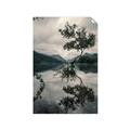 Picture of Tree Reflection _GroupedProduct_Rectangle_Portrait_Photography _GroupedProduct_Rectangle_Portrait_Unframed_Print_Only_