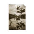 Picture of Tree Reflection _GroupedProduct_Rectangle_Portrait_Photography _GroupedProduct_Rectangle_Portrait_Unframed_Print_Only_