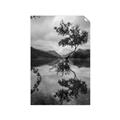 Picture of Tree Reflection _GroupedProduct_Rectangle_Portrait_Photography _GroupedProduct_Rectangle_Portrait_Unframed_Print_Only_