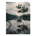 Picture of Tree Reflection _GroupedProduct_Rectangle_Portrait_Photography _GroupedProduct_Rectangle_Portrait_Unframed_Print_Only_