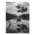 Picture of Tree Reflection _GroupedProduct_Rectangle_Portrait_Photography _GroupedProduct_Rectangle_Portrait_Unframed_Print_Only_