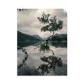 Picture of Tree Reflection _GroupedProduct_Rectangle_Portrait_Photography _GroupedProduct_Rectangle_Portrait_Unframed_Print_Only_