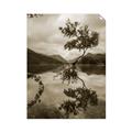 Picture of Tree Reflection _GroupedProduct_Rectangle_Portrait_Photography _GroupedProduct_Rectangle_Portrait_Unframed_Print_Only_