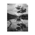 Picture of Tree Reflection _GroupedProduct_Rectangle_Portrait_Photography _GroupedProduct_Rectangle_Portrait_Unframed_Print_Only_