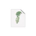 Picture of Dewey leaves _GroupedProduct_Rectangle_Portrait_Photography _GroupedProduct_Rectangle_Portrait_Unframed_Print_Only_