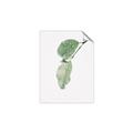 Picture of Dewey leaves _GroupedProduct_Rectangle_Portrait_Photography _GroupedProduct_Rectangle_Portrait_Unframed_Print_Only_