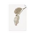Picture of Dewey leaves _GroupedProduct_Rectangle_Portrait_Photography _GroupedProduct_Rectangle_Portrait_Unframed_Print_Only_