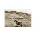 Picture of Mustard Grass Horse _GroupedProduct_Rectangle_Landscape_Photography _GroupedProduct_Rectangle_Landscape_Unframed_Print_Only_