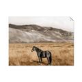 Picture of Mustard Grass Horse _GroupedProduct_Rectangle_Landscape_Photography _GroupedProduct_Rectangle_Landscape_Unframed_Print_Only_