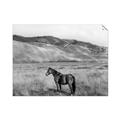 Picture of Mustard Grass Horse _GroupedProduct_Rectangle_Landscape_Photography _GroupedProduct_Rectangle_Landscape_Unframed_Print_Only_