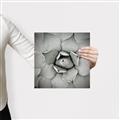 Picture of Eye of the Succulent _GroupedProduct_Square_Photography _GroupedProduct_Square_Canvas_