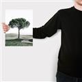 Picture of The Only Tree _GroupedProduct_Rectangle_Portrait_Photography _GroupedProduct_Rectangle_Portrait_Canvas_