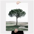 Picture of The Only Tree _GroupedProduct_Rectangle_Portrait_Photography _GroupedProduct_Rectangle_Portrait_Canvas_