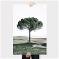 Picture of The Only Tree _GroupedProduct_Rectangle_Portrait_Photography _GroupedProduct_Rectangle_Portrait_Canvas_