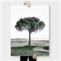 Picture of The Only Tree _GroupedProduct_Rectangle_Portrait_Photography _GroupedProduct_Rectangle_Portrait_Canvas_