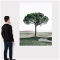 Picture of The Only Tree _GroupedProduct_Rectangle_Portrait_Photography _GroupedProduct_Rectangle_Portrait_Canvas_